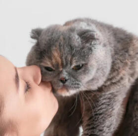 photo of lady kissing cat
